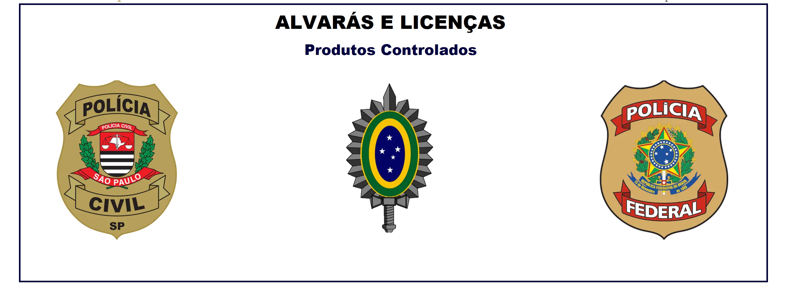 BRASAO 2.jpg